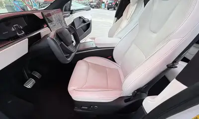 2022 Tesla Model X Plaid (White)
